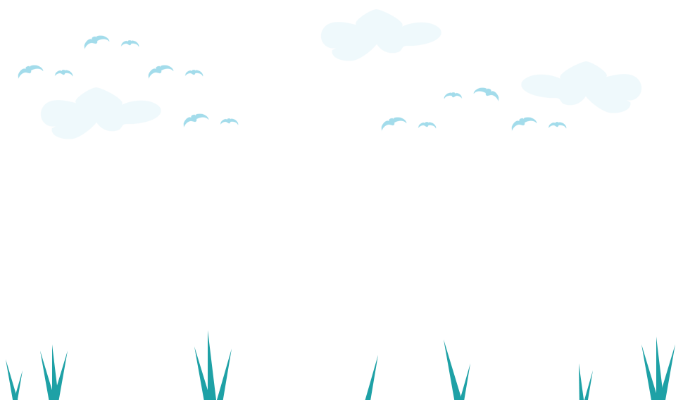 stars