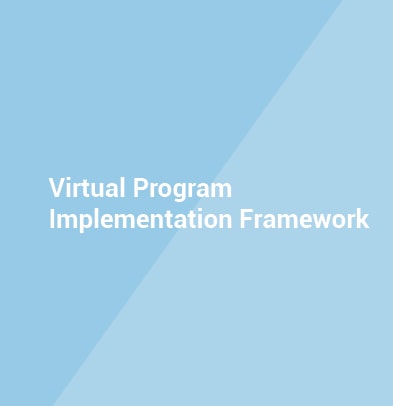 Virtual Program Implementation Framework