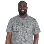 Dexter white background 1-841330-edited