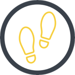 Learning Walks