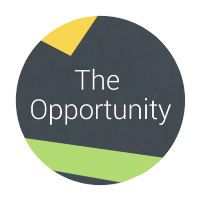 The Opportunity