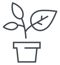 Copy of Plant(1)