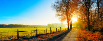 Blane McCann Blog - November Leaders NL 
