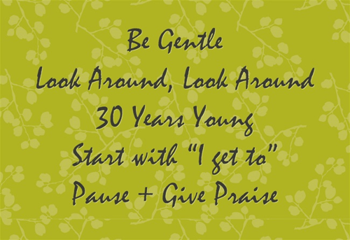 Team Mantra - Be Gentle, Look Around, Look Around, 30 Years Young, Start with "I get to", Pause + Give Praise