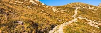 The Misconception of Zeros Blog Header-543932-edited