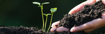 Personalized Learning and the Shift from a Pedagogy of Poverty to Pedagogy of Plenty Blog Image