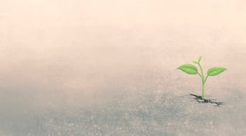 Implementing the “Best” in Imperfect Conditions: Tips for making changes to instructional practices at scale blog