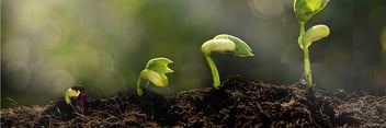 Innovative Teacher Leader Blog Header