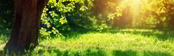 iStock-825349442-min-696789-edited