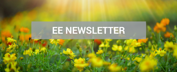 May Newsletter Cover Image Showing Spring Flowers