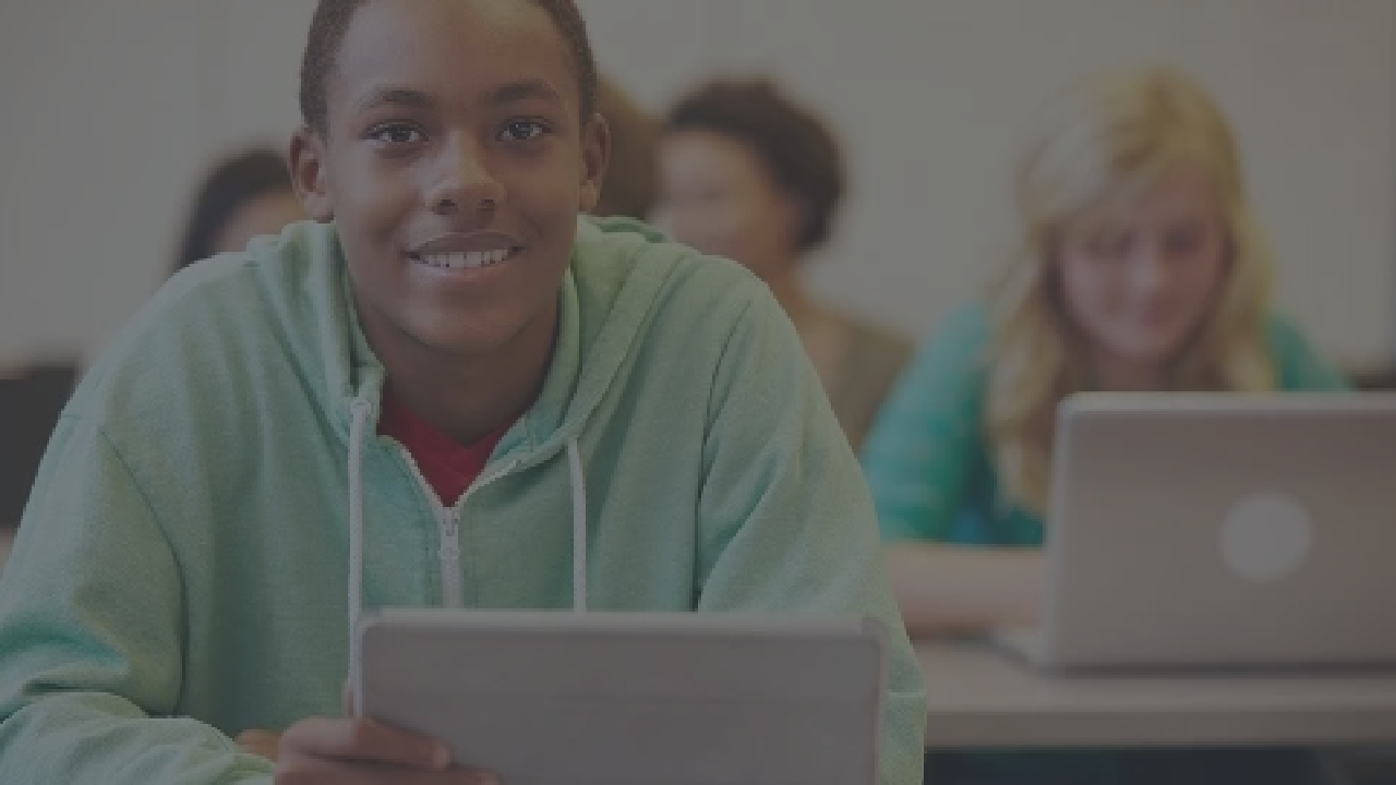 Student Surveys at Harrisburg SD