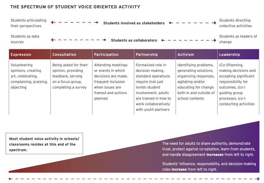 The Spectrum of Student Voice Oriented Activity