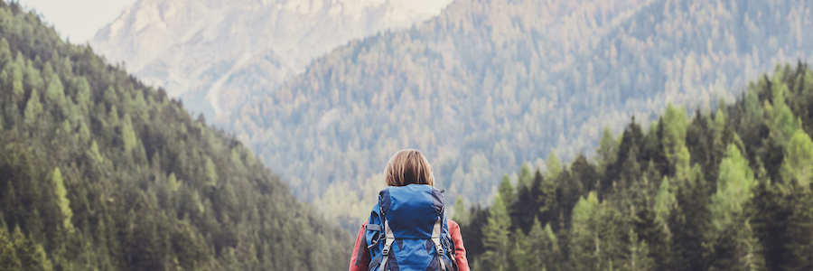 My New Journey With a Mission-Driven Organization