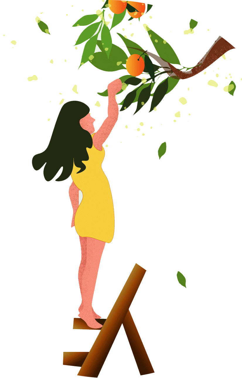 Pick-from-the-tree