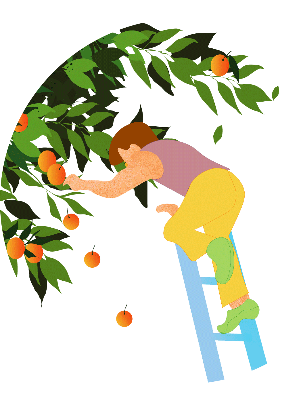 someone-picking-from-the-orange-tree